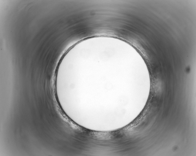 X0000099560856200805160749