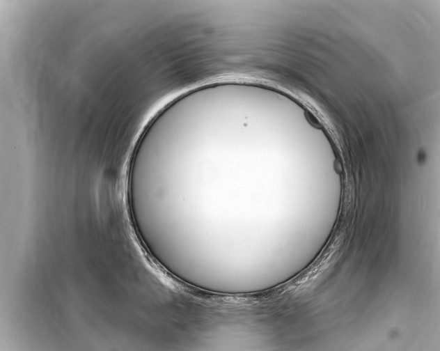 X0000099560862200805160749
