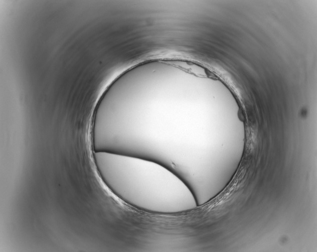 X0000099560863200805160749