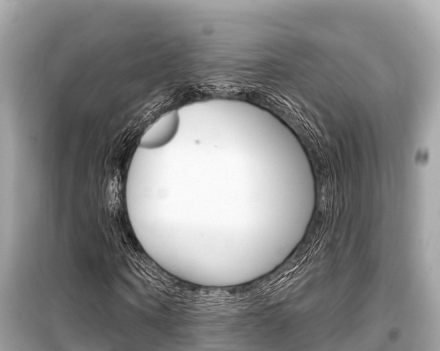 X0000099560866200805160748