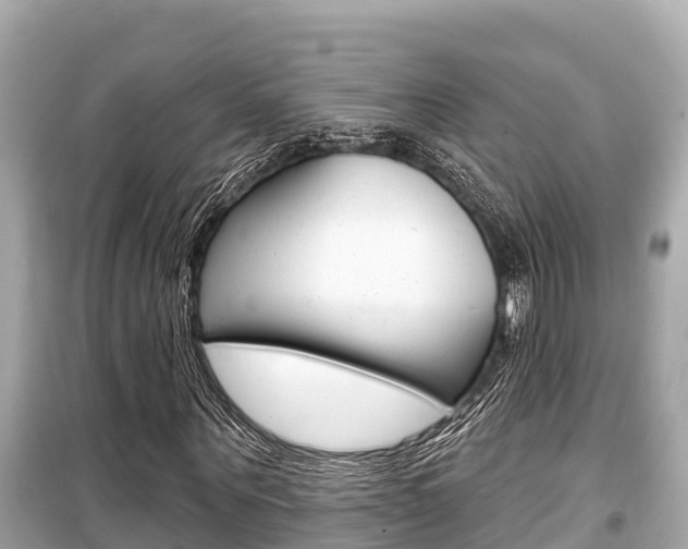 X0000099560867200805160748