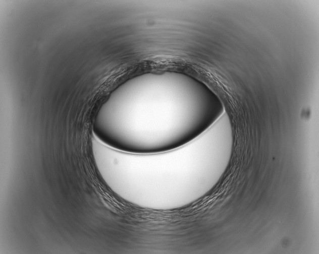 X0000099560868200805160748