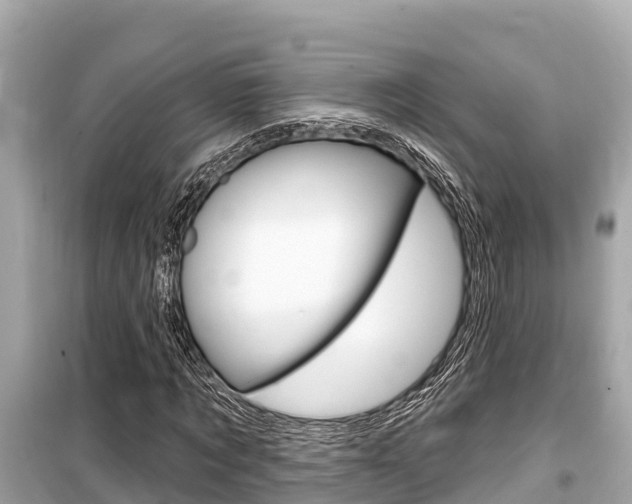 X0000099560869200805160748