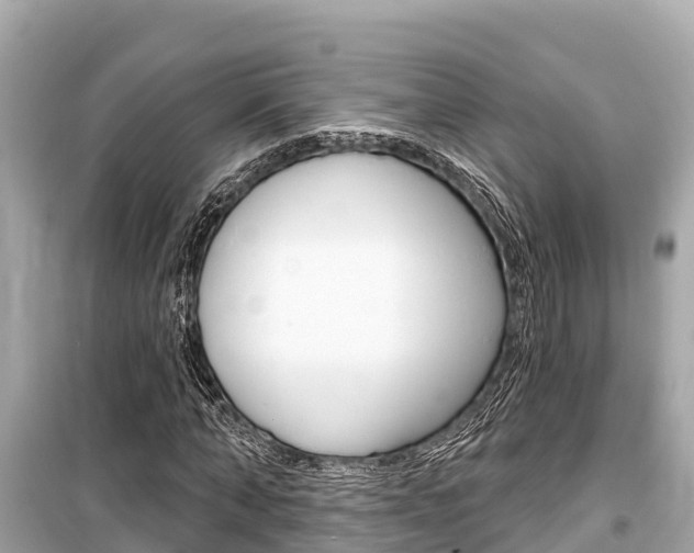 X0000099560870200805160748