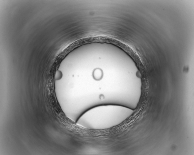X0000099560871200805160748