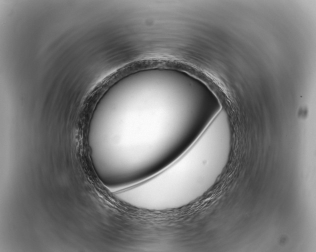 X0000099560872200805160748