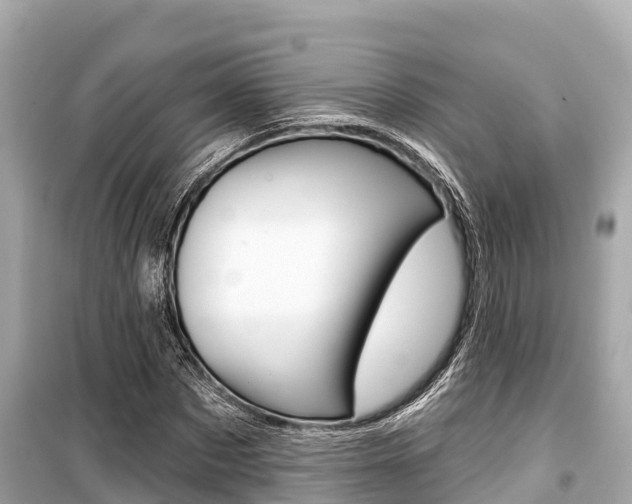 X0000099560873200805160748