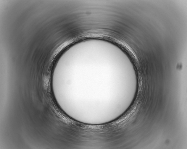 X0000099560874200805160748
