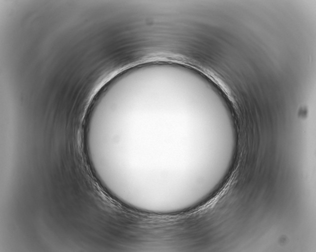 X0000099560877200805160748
