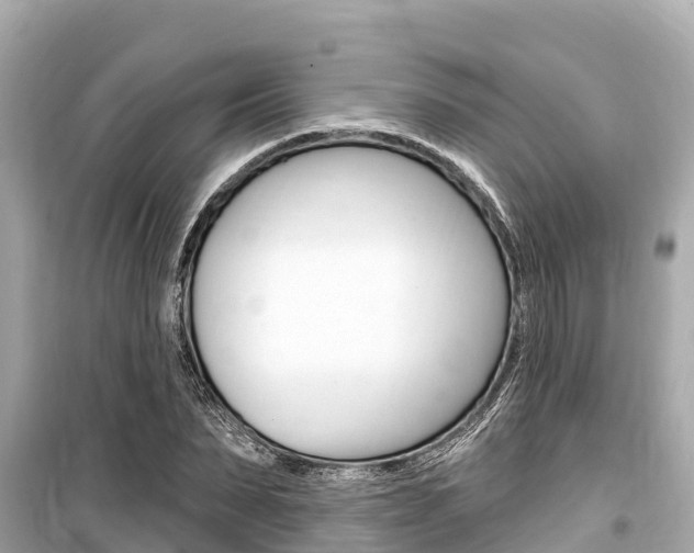 X0000099560879200805160748