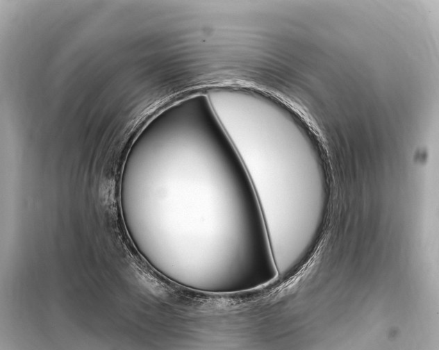 X0000099560881200805160748
