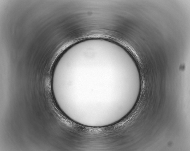 X0000099560882200805160748