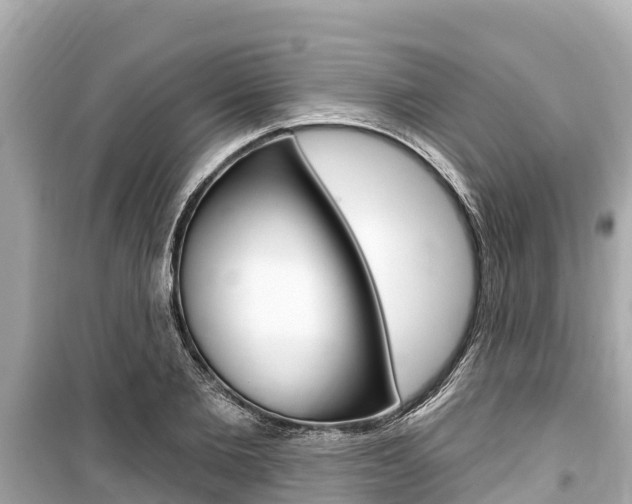 X0000099560885200805160748