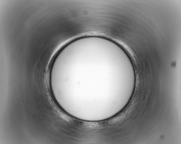 X0000099560886200805160748