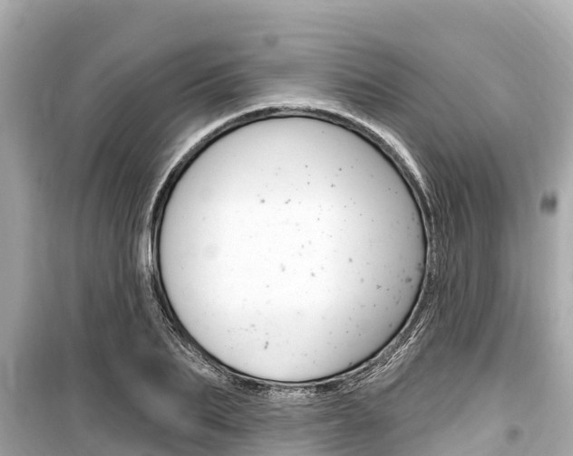 X0000099560887200805160748