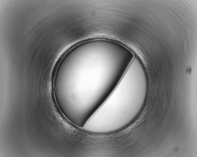 X0000099560888200805160748