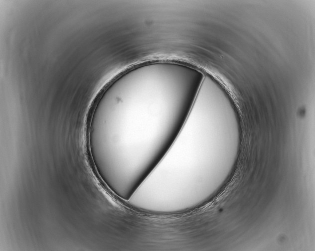 X0000099560894200805160748