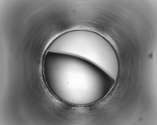 X0000099560896200805160747