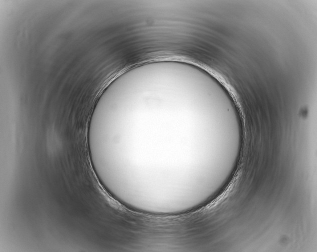 X0000099560897200805160747