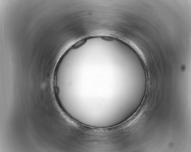 X0000099560901200805160747