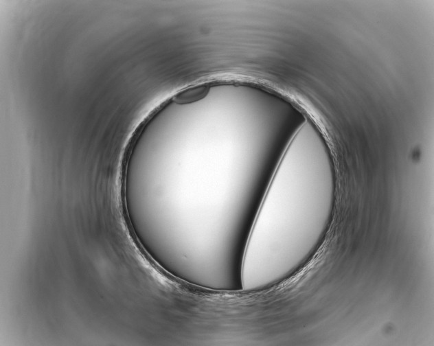 X0000099560902200805160747