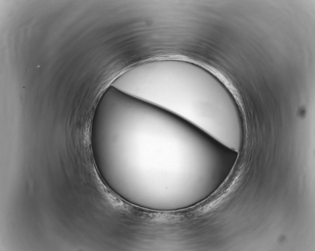 X0000099560905200805160747