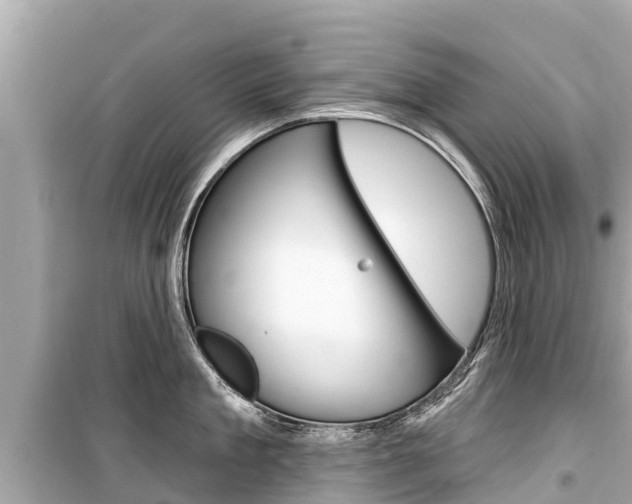X0000099560909200805160747