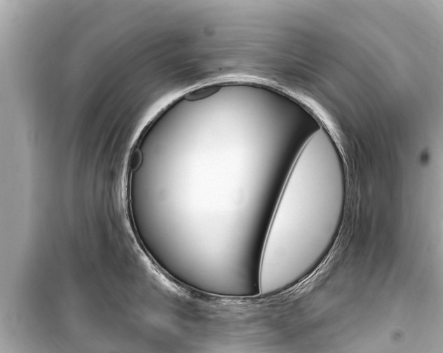 X0000099560910200805160747