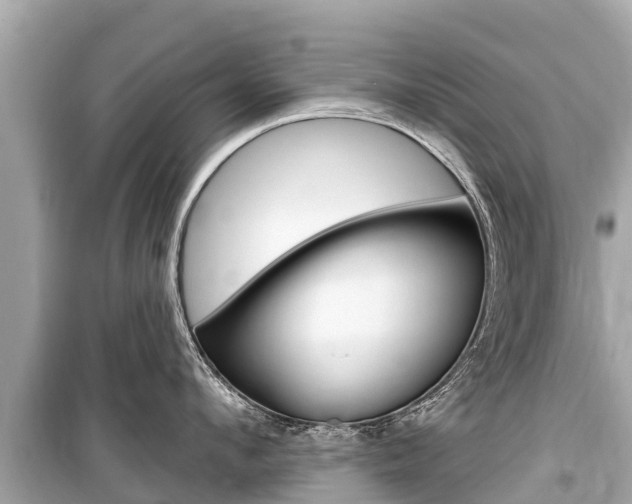 X0000099560912200805160747