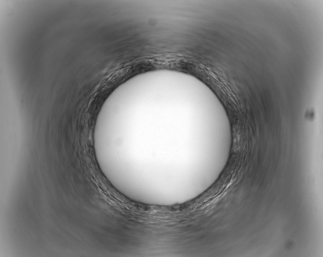 X0000099560913200805160747