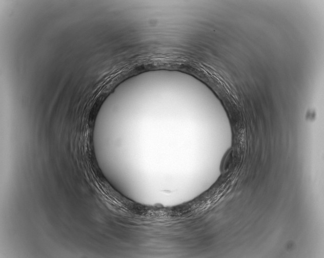 X0000099560914200805160747