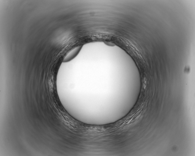 X0000099560915200805160747