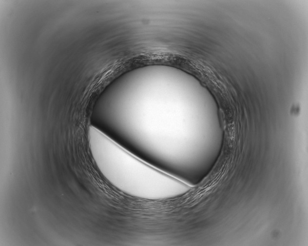 X0000099560916200805160747