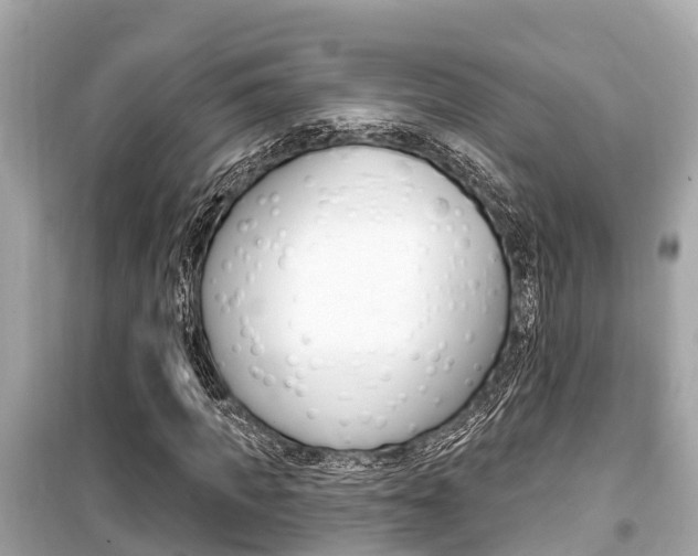 X0000099560917200805160747