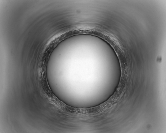 X0000099560920200805160747