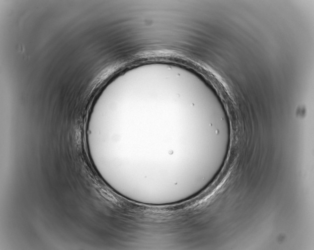 X0000099560921200805160747
