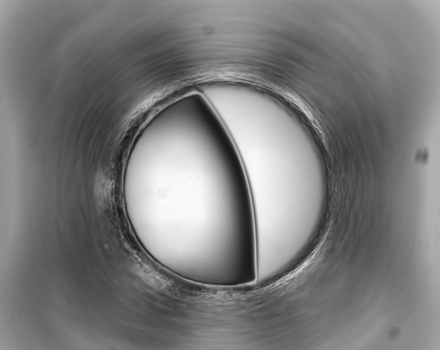 X0000099560922200805160747
