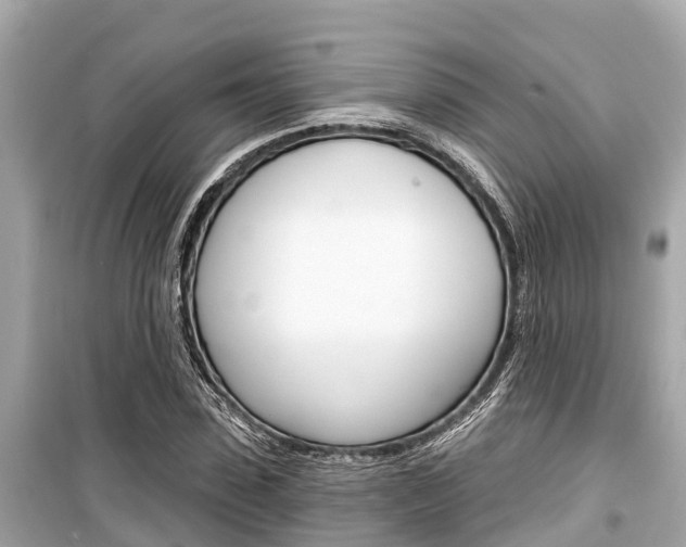 X0000099560923200805160747