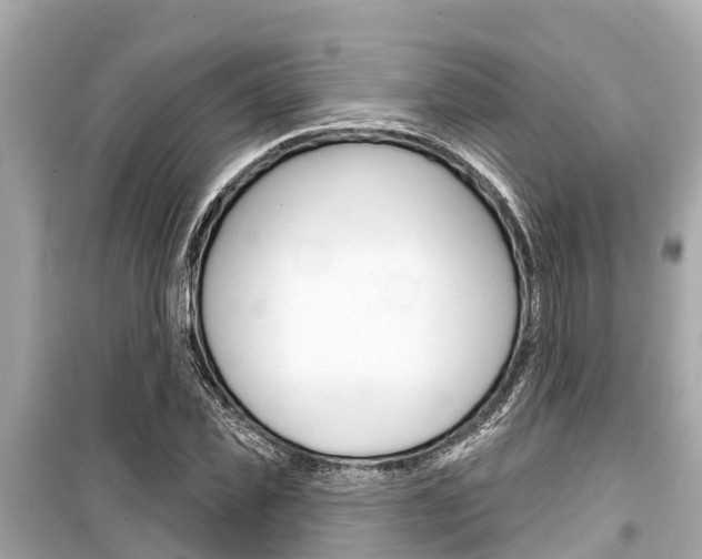 X0000099560925200805160747