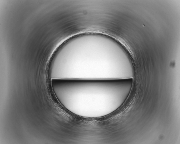 X0000099560926200805160747