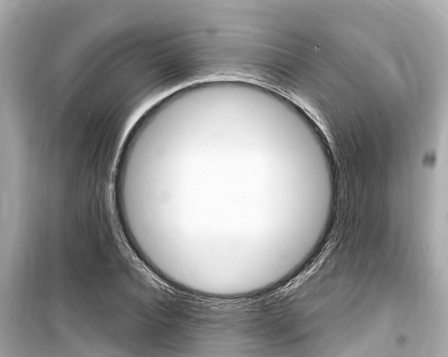 X0000099560928200805160747