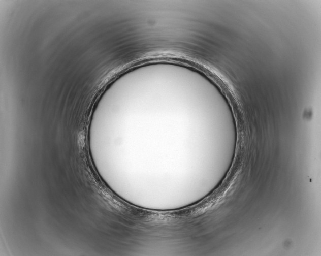 X0000099560929200805160747