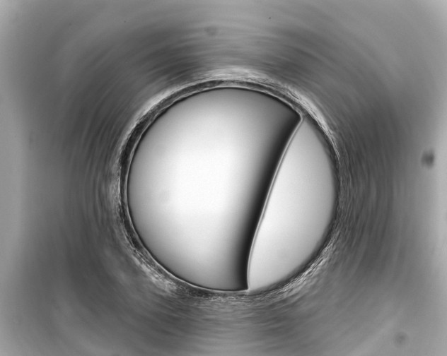 X0000099560931200805160747