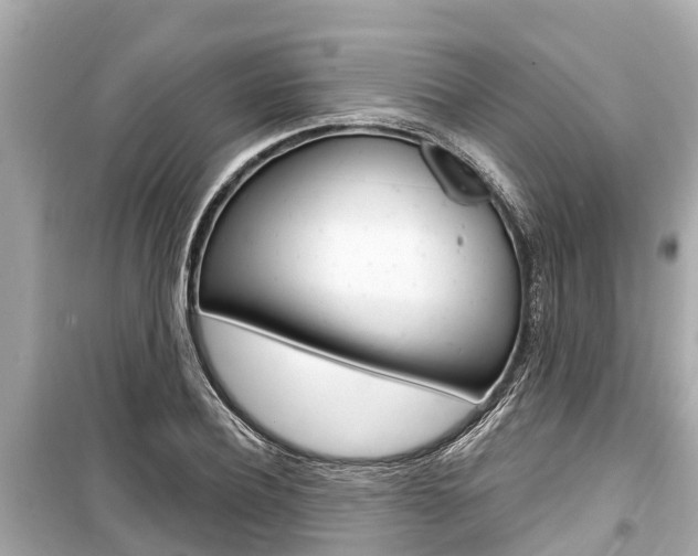 X0000099560932200805160747