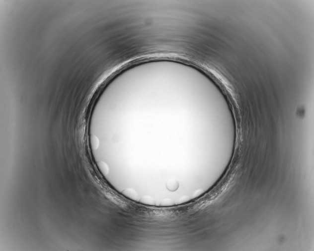 X0000099560933200805160747