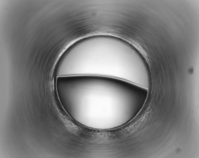 X0000099560934200805160747