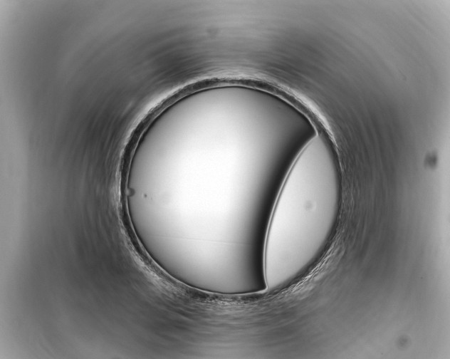 X0000099560935200805160747