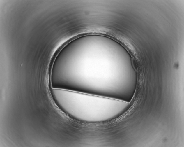 X0000099560936200805160747