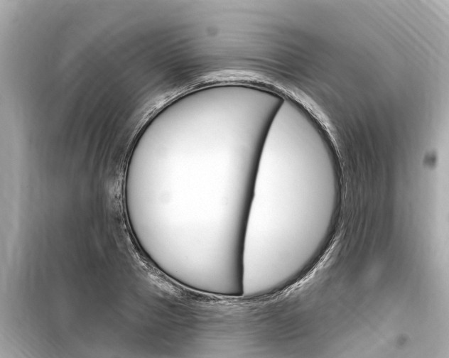 X0000099560937200805160747