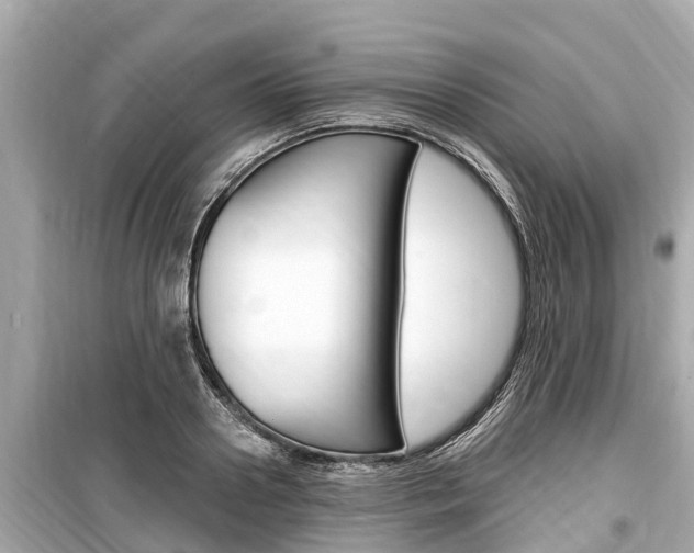 X0000099560938200805160747